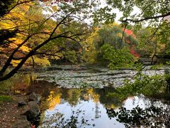 -北海道厅旧本厅舍(旧本庁舎)