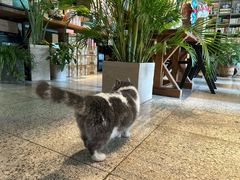 -谷咖啡·鲜花绿植花园餐厅