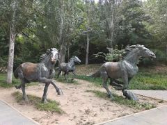 -元大都城垣遗址公园