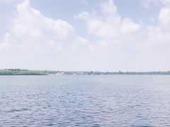 -丁香湖公园