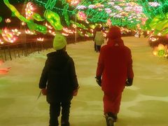 -沈阳奥体冰雪嘉年华