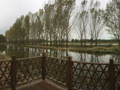 -顺鑫绿色度假村