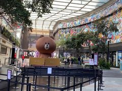 -珍妮曲奇聪明小熊(尖沙咀店)