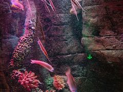 -沈阳海洋探索中心