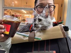-Jeans Coffee牛仔裤咖啡