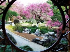 -杭州植物园