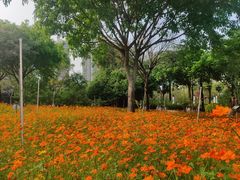 -华侨大学(厦门校区)