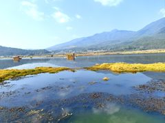-腾冲北海湿地