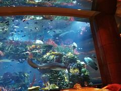 -迪拜帆船酒店海底餐厅