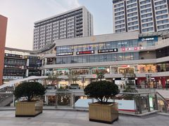 -浦江城市生活广场(江月路店)