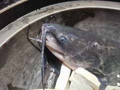 -满兴咱妈烀饼铁锅炖(兰州北街店)