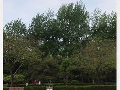 -黄村公园