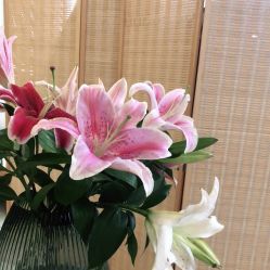 -FineYoga梵音瑜伽·普拉提