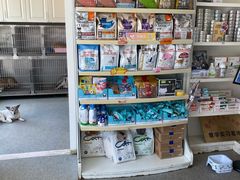 -安安宠医·安宠宠物医院