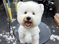 -宠宠熊宠物美容(星湖街店)