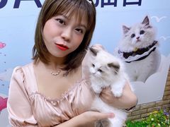 -lincat·猫舍(广州店)