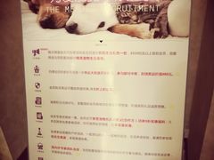 -宠爱国际动物医院· 猫科· 外科·中兽医(长白店)