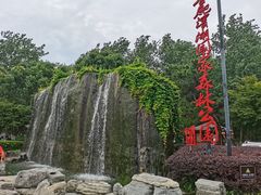 -合肥滨湖国家森林公园