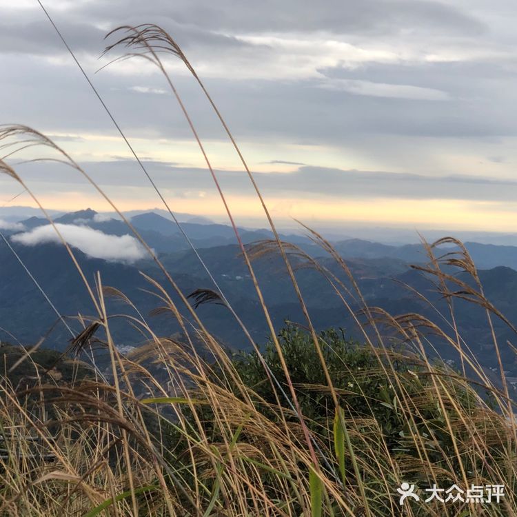 ⛰️潮州 凤凰山攻略⛺️含泪避雷篇🚫