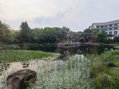 -苏州独墅湖世尊酒店