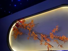 -臻江南影院式足道(雅安店)