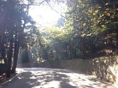 iphone_upload_pic-含鄱口