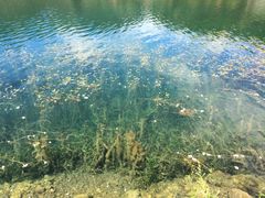 -丽江泸沽湖景区-里格半岛