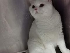 -萌兽医馆·眼科·异宠专科(三里屯店)