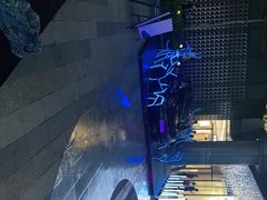 -TESLA 特斯拉(广州天环广场体验店)