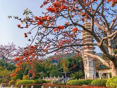 -南普陀寺