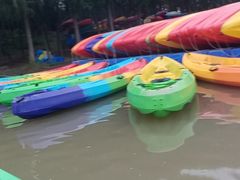 -上海海湾国家森林公园