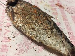 -老白清真烧烤(锦州旗舰店)