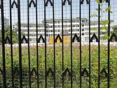 -佛山市第一中学