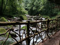 -碧峰峡风景区