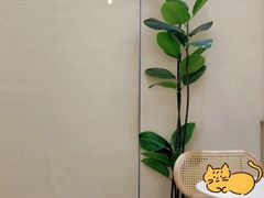 -宝珠奶酪(长宁金虹桥店)