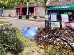 -宁波市保国寺古建筑博物馆