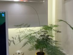 -海马体照相馆(上海宝山万达广场店)