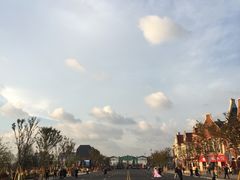 -荷兰花海