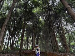 -午潮山国家森林公园