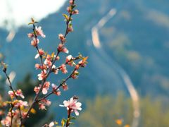 -居庸关长城