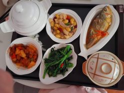 -宝生月子中心(独栋园林·福田店)