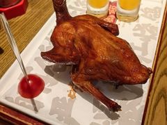 -大鸽饭(岗顶店)