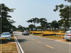 -芒洲湿地公园