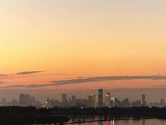 -合肥滨湖国家森林公园