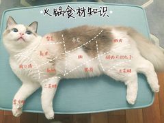 -威尼斯西餐厅(古镇店)