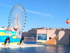 -秦皇岛乐岛海洋王国