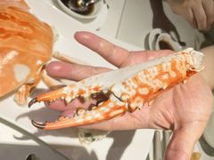 -百乐潮州酒家(时代广场店)