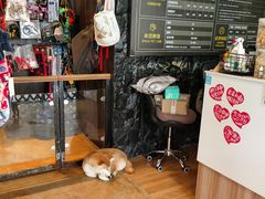 -八公叔叔宠物美容连锁(春申店)