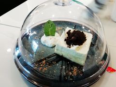 雪域芝士-飞行喵MR PILOT|猫舍·猫咖(静安大融城店)
