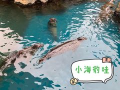 -华夏文旅海洋公园